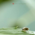 �ҵ����5